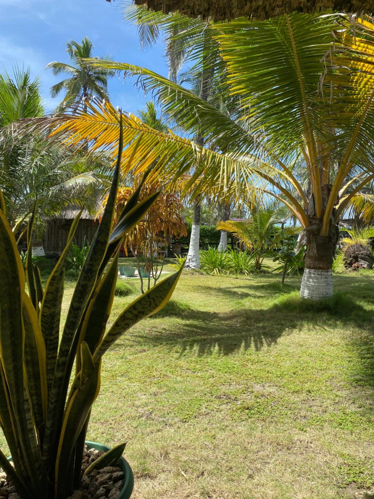 Zefiro Hostal سان برناردو ديل فينتو المظهر الخارجي الصورة